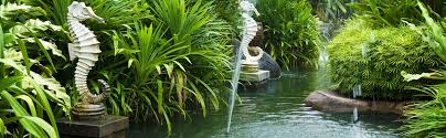 Maybe you would like to learn more about one of these? Koi Ponds Installation Miami With Tropical Landscape Design