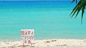 Image result for 沖縄の海
