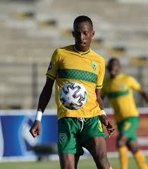 Lamontville golden arrows have the opportunity to climb up the log from 4th place should the team maintain their positive play and unsettle baroka at home. Golden Arrows Latest News Transfers Fixtures Results And Live Scores