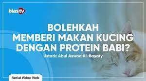 We did not find results for: Makanan Kucing Hukum Memberi Makan Kucing Dengan Makanan Yang Mengandung Babi Youtube