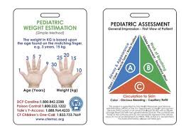 Image result for Pediatric Assessment Triangle