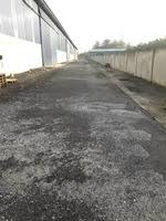 Tanjung morawa b dua belas. Unfurnished Factory For Sale At Tanjung Dua Belas Kuala Langat Land