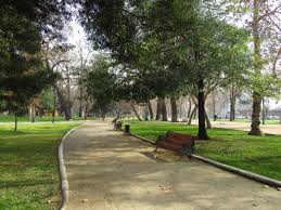 Image result for parque