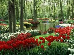 Spring River Flowers Amp Nature Background Wallpapers On Desktop Beautiful Flowers Garden Beautiful Gardens Beautiful Nature Wallpaper