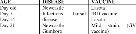 broiler vaccination program download table