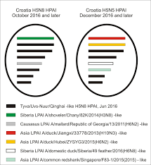 It should be noted that human infection with a(h5n6) of related clade 2.3.4.4 has already occurred. Putative Genomic Composition Of The Novel Reassortant H5n8 And H5n5 Download Scientific Diagram
