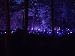 Image result for http://i.imgur.com/9sBdVpV.jpg