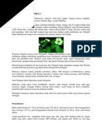 Maybe you would like to learn more about one of these? Essay Obat Herbal