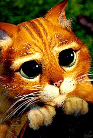 Https Encrypted Tbn0 Gstatic Com Images Q Tbn And9gcsrkeaguhtamx432skhmw2uhplvo9em1yjh4g Usqp Cau