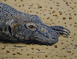 Komodo Dragon Original Art Reptile Art Monitor Lizard Etsy Komodo Dragon Komodo Monitor Lizard