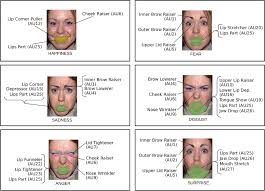 mapping the emotional face how individual face parts