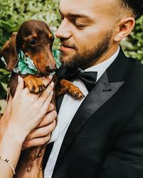 The Davis Family ♥️ 6 months married 🥹 feeling nothing but pure love and  happiness 💍 I don't think I'll ever be over our wedding era