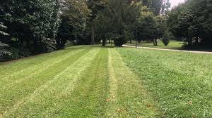 Olivia bailey of leaks whereispoppie Onlyfans Leaked I