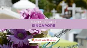 We did not find results for: The 12 Best Options For Funeral Flowers In Singapore Bestfloristreview