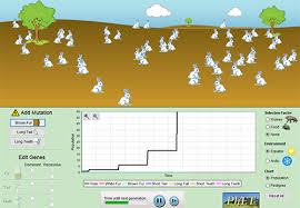 Answer key fingerprint challenge answers : Evolution Bunny Simulation