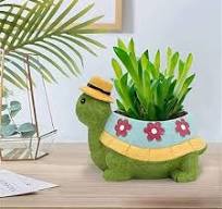 Amazon.com: Maceta creativa para suculentas, bonita maceta ...