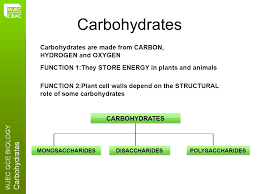 Similarly, animals and fungi have structural carbohydrates that are composed of the chitin is a structural carbohydrate found in animal shells or fungi cell walls. Wjec Gce Biology Carbohydrates 2 6 Wjec Gce Biology Carbohydrates Carbohydrates Are Made From Carbon Hydrogen And Oxygen Function 2 Plant Cell Walls Ppt Download