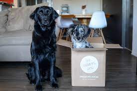 The Farmers Dog Human Grade Dog Food Dog Food Delivery Dogs