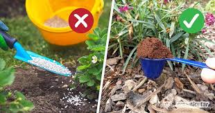 Statt Kunstdunger Naturlich Dungen Mit Pflanzen Und Kuchenabfallen Pflanzen Gartendunger Gemuse Pflanzen