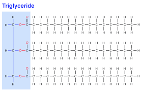 We did not find results for: Vi Lipids Structure A Guide To The Principles Of Animal Nutrition