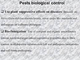 Parasites such as digger wasps 3. Biological Control Of Insect Pests Ppt Download