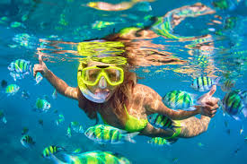 8 Spectacular Snorkelling Spots on Australia's East Coast | Fitzroy Island