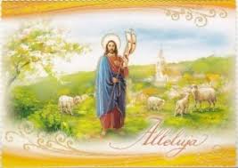 Ne jamais attribuer à la malveillance ce que la bêtise suffit à expliquer (évidemment que c'est pas de moi!). Postkarte Alleluja Ostern Der Gute Hirte Mit Schafen 14 7 Cm X 10 4 Cm Jesus Art Painting