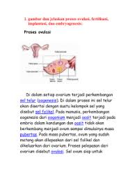 Pada saat anda hamil tiga minggu, embrio yang sedang berkembang telah membentuk alur saraf, yang merupakan fondasi bagi. Pertumbuhan Dan Perkembangan