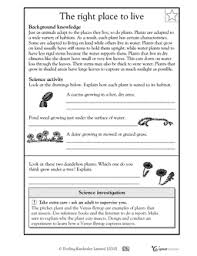 Ocean animals adaptation by misstylady: Animal Worksheet New 575 Animal Adaptations Worksheets 3rd Grade