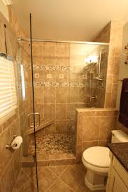Mosaic accent tile in shower ideas. Small Bathroom Stand Up Shower Houzz