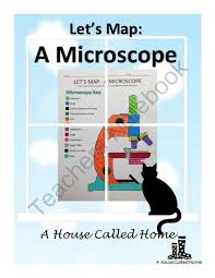 The cell contains an endoplasmic reticulum which is a tube like structure connecting different parts of a cell and helps them to carry materials. Lets Map A Microscope Teachers Notebook Animal Cell Cells Activity Animal Cell Activity