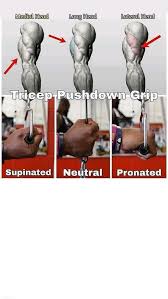 The overhead triceps extension is the fourth most effective triceps exercise, coming in at about 76% of muscle activation. Pin By Brittany Allen On Fit Biceps Workout Weight Training Workouts Bodybuilding Workouts