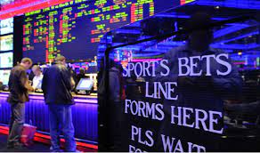 See the action unfold right in front of your eyes. Practice Of Banning Successful Sports Bettors Reportedly Increasing In Us