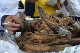 Ikan lele atau yang dalam bahasa latinnya disebut dengan clarias ini merupakan ikan yang biasa hidup di air tawar. Makan Lele Bisa Picu Penyakit Jantung Dan Kematian Mendadak Benarkah Begitu Ini Penjelasannya Semua Halaman Bobo