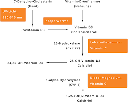 Um ein gesundes wachstum sicherzustellen, ist es üblich, sie in den ersten lebensmonaten zusätzlich mit vitamin d zu versorgen. Vitamin D Pur 1780 Tropfen Im Braunglas Lebenskraftpur