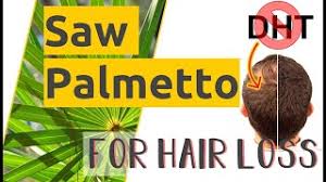 Saw palmetto for hair loss. Saw Palmetto For Hair Growth Natural Dht Blocker 2021 Youtube