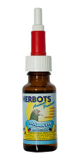 Unique combination of electrolytes, vitamins, trace elements and amino acids on an energy carrying base. De Weerd Belgasol 500ml 300123