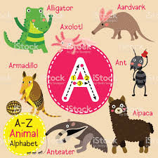 A Letter Tracing Ant Aardvark Armadillo Alligator Alpaca Animal Alphabet Alphabet Cartoon Animals