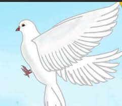 و اذا كانت لديك حكم أو أقوال من تأليفك الخاص فتستطيع اضافتها في هذه. Ù‚ØµØ© Ø§Ù„Ø­Ù…Ø§Ù…Ø© Ø§Ù„Ø°ÙƒÙŠØ© Ùˆ Ù‚ØµØ© Ø§Ù„Ø¯ Ø¨ Ø§Ù† ÙˆØ¬Ø±Ø© Ø§Ù„Ø¹Ø³Ù„