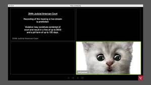 Even ponton, once he recovered from cat face and mortification, found humor in his proverbial 15 minutes of fame. This Ad Dug Up Unreleased Footage Of The Texas Cat Lawyer
