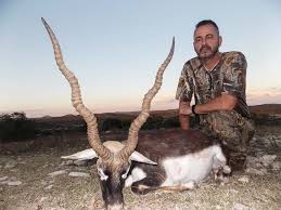 At ranibennur blackbuck sanctuary, habitat changes have affected the populations of blackbuck and bustards. Blackbuck Hunting 60 Species To Hunt Ox Ranch