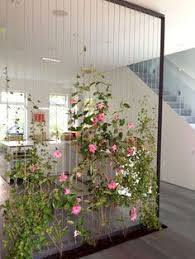 Indoor vine plant with pink flowers. 41 Indoor Climbing Plants Ideas Plants Indoor Plants Indoor Climbing Plants