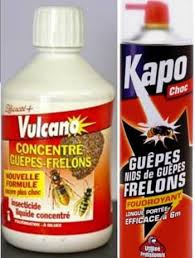 Maybe you would like to learn more about one of these? Quels Produits Pour Detruire Un Nid De Frelon Asiatique