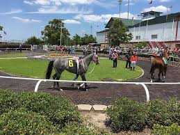 Ostrich racing in better conditions than those at sam houston race park last saturday. File Sam Houston Race Park Paddock4 Jpg Wikimedia Commons
