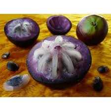 Pin On Fruit