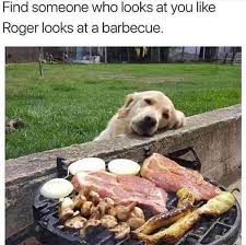 The Best Grill Memes Memedroid