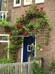 How to start a rose garden. Let S Start Grouping Roses Into Friendlier Groups Finegardening