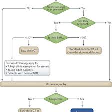 Pdf An Overview Of Kidney Stone Imaging Techniques