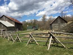 Check spelling or type a new query. Escape To The Country High Heels In The Wilderness