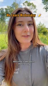 It's National Kitten Day!!! 😻 These cubs and kittens are now all adults,  but let's flashback to when they hadn't grown into their paws quite yet!  🫶🐾 Thanks for giving them a